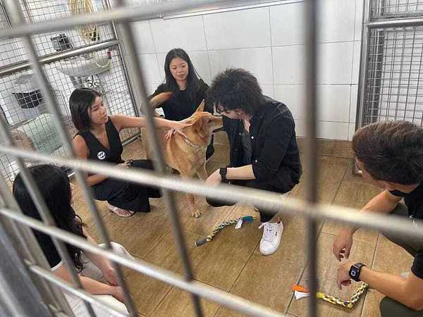 交易路上的酸甜苦辣：一位老交易员的真心话